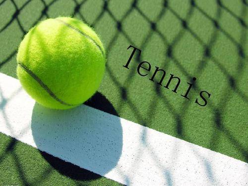 为自己的队 为自己的队